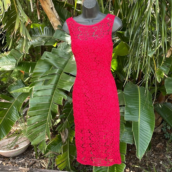 White House black market illusion lace sheath dress - Picture 6 of 12